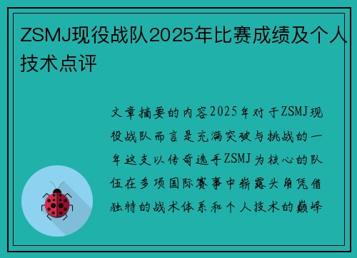 ZSMJ现役战队2025年比赛成绩及个人技术点评
